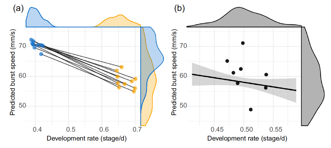 Figure from the publication, showing a negative relationship between burst speed and developmental rate.