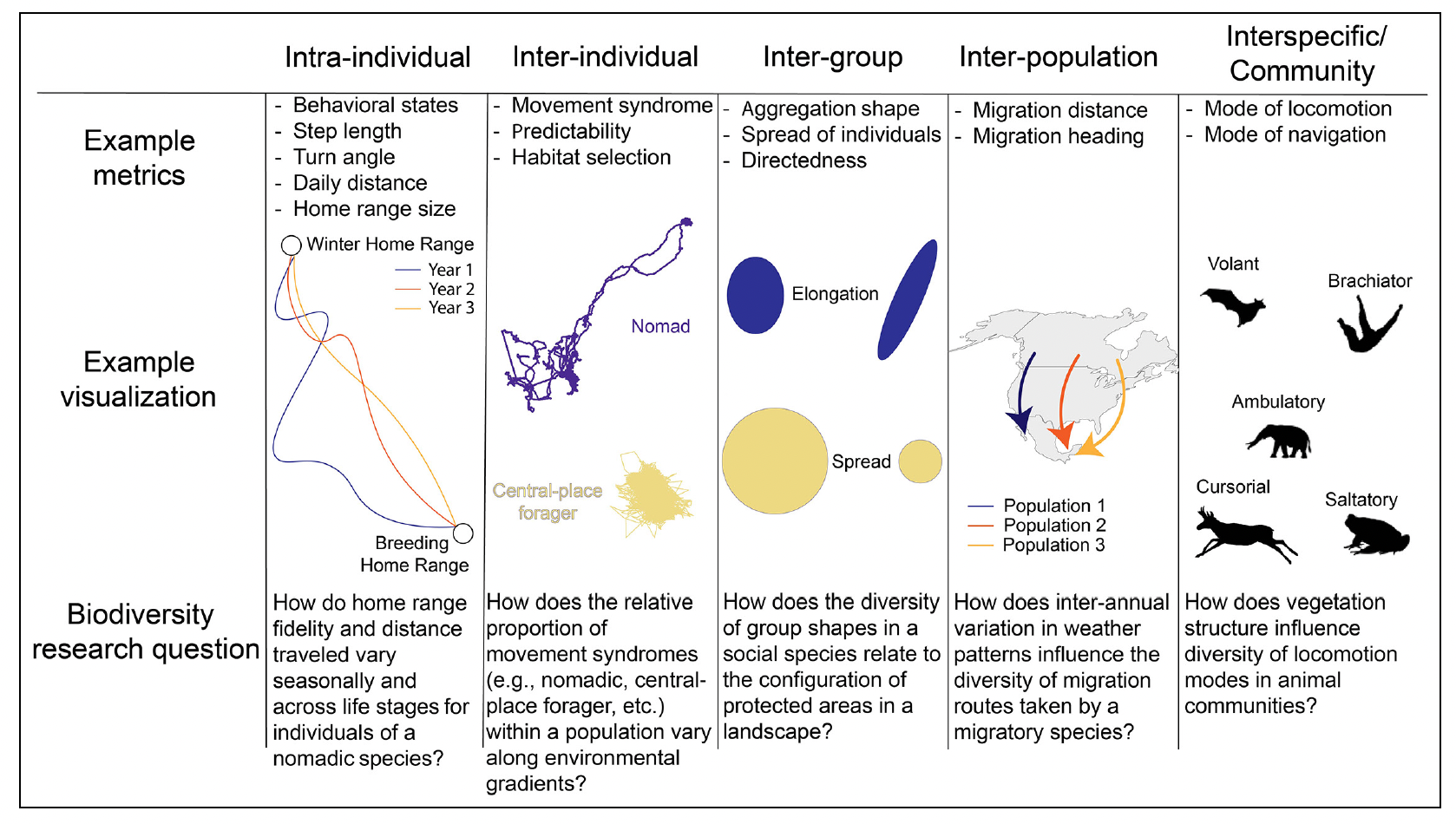 Figure from the publication, showing a conceptual representation of movement diversity at different scales.