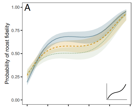 Figure from the publication, showing a nonlinear positive relationship between vulture age and probability of roost fidelity.